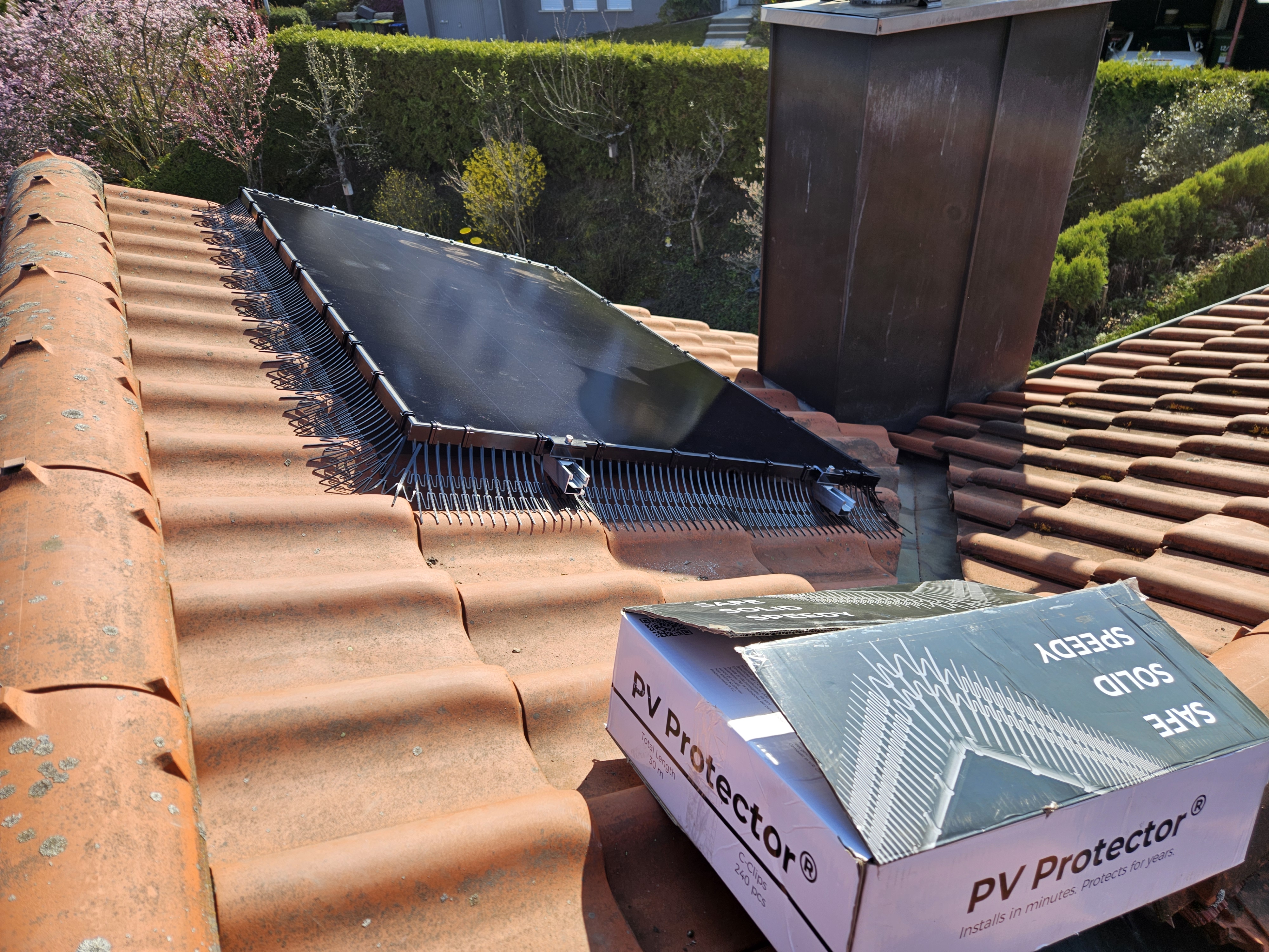 Solar panel maintenance — bird activity damage inspection