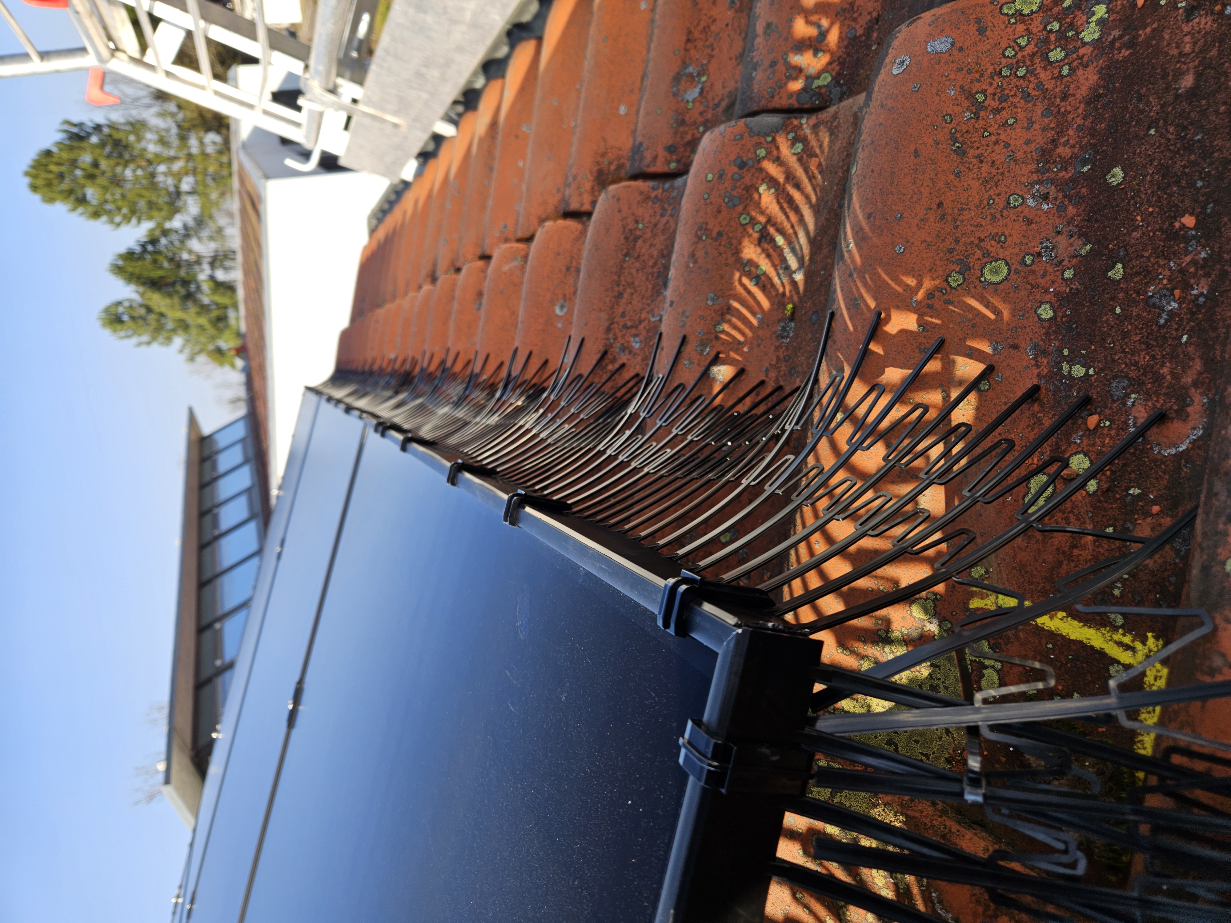 solar panel fire risk — PV Protector®