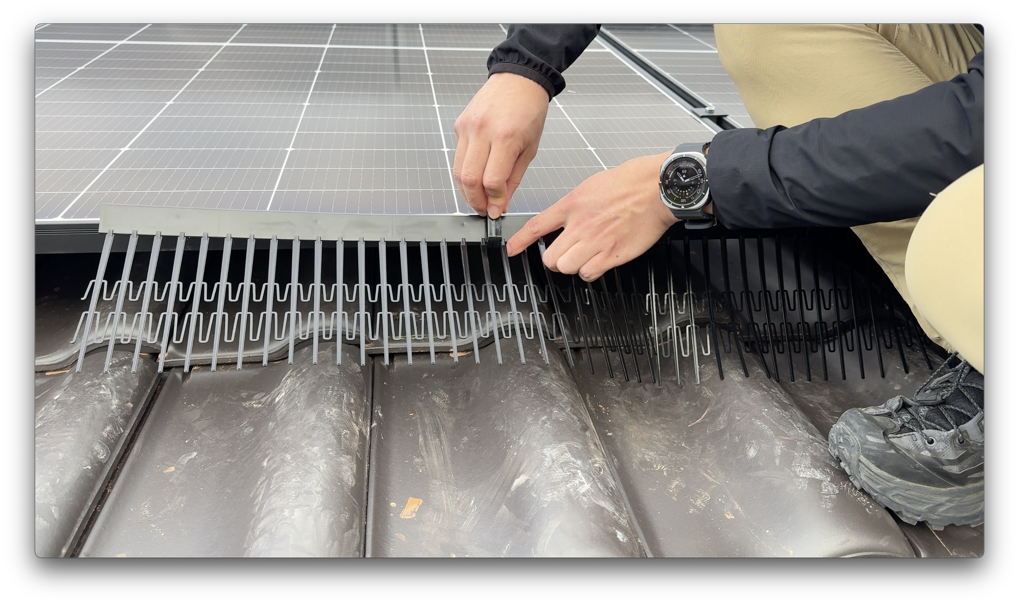Retrofit bird protection case study on existing solar array