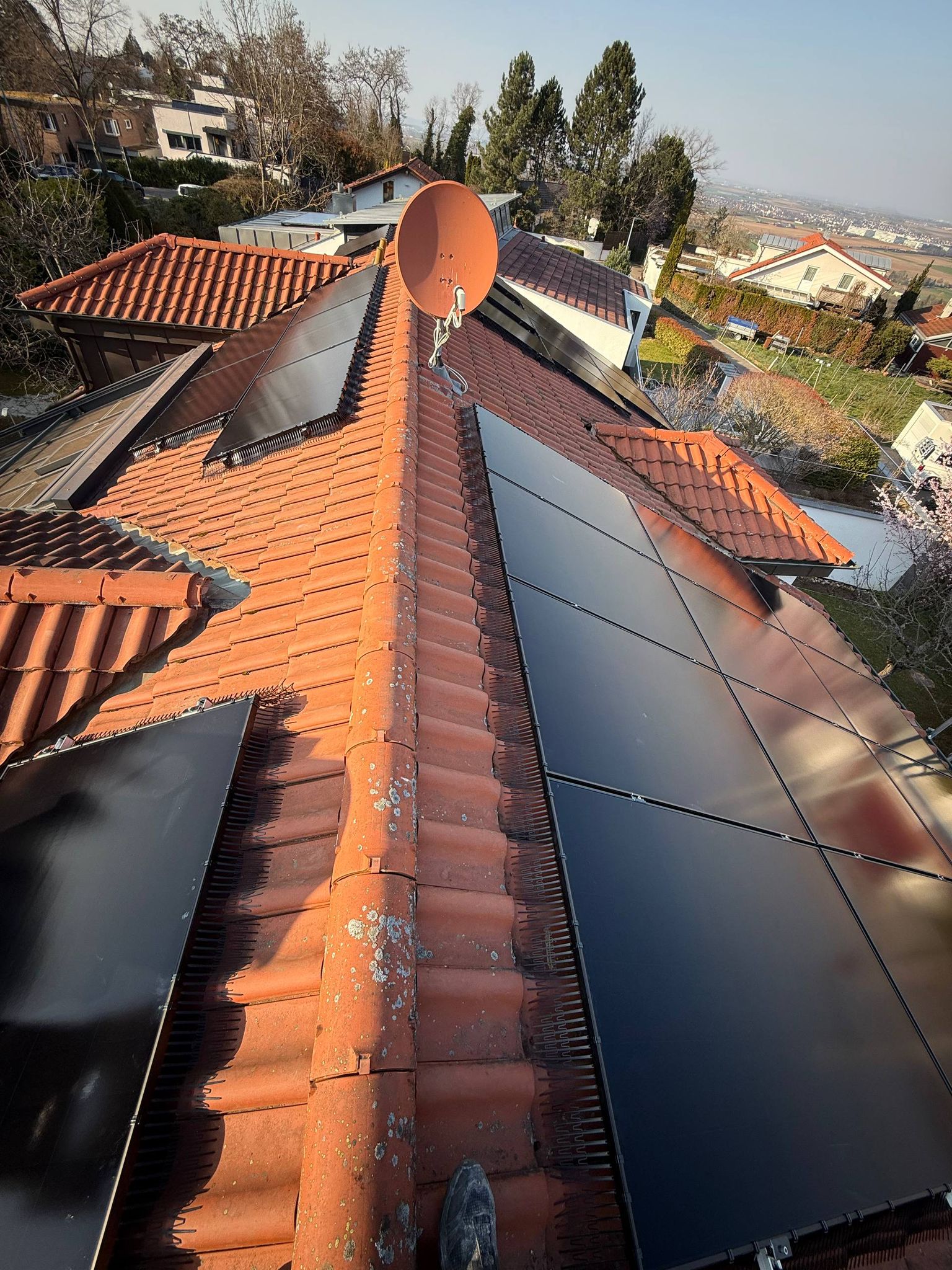 Bird mesh system installed on solar panel array