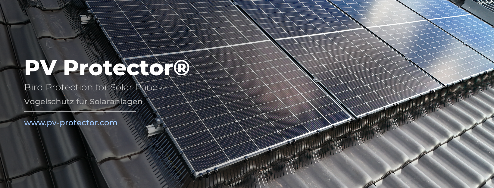 Solar panel installation requiring pigeon protection