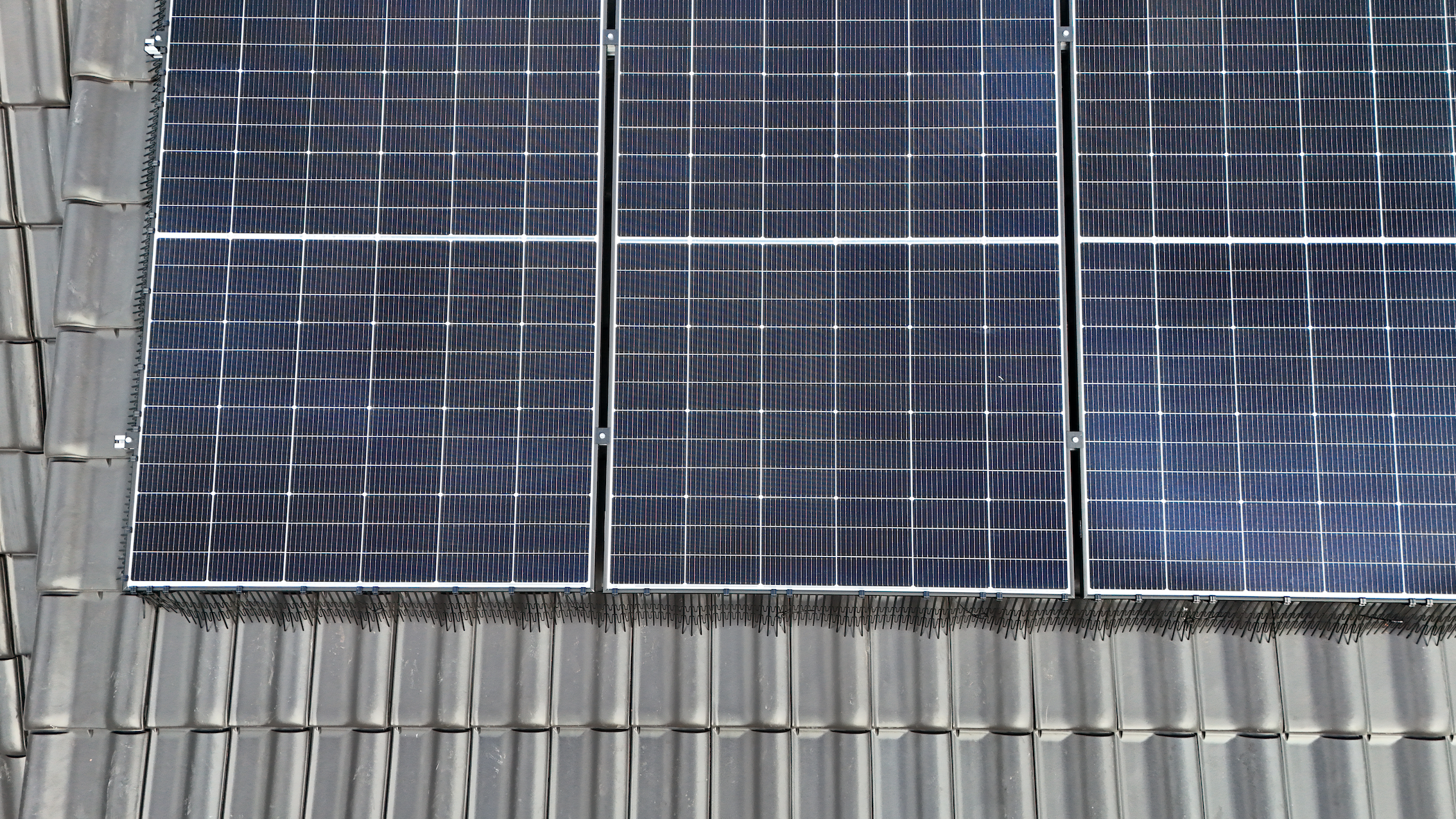 Bird mesh system installed on solar panel array