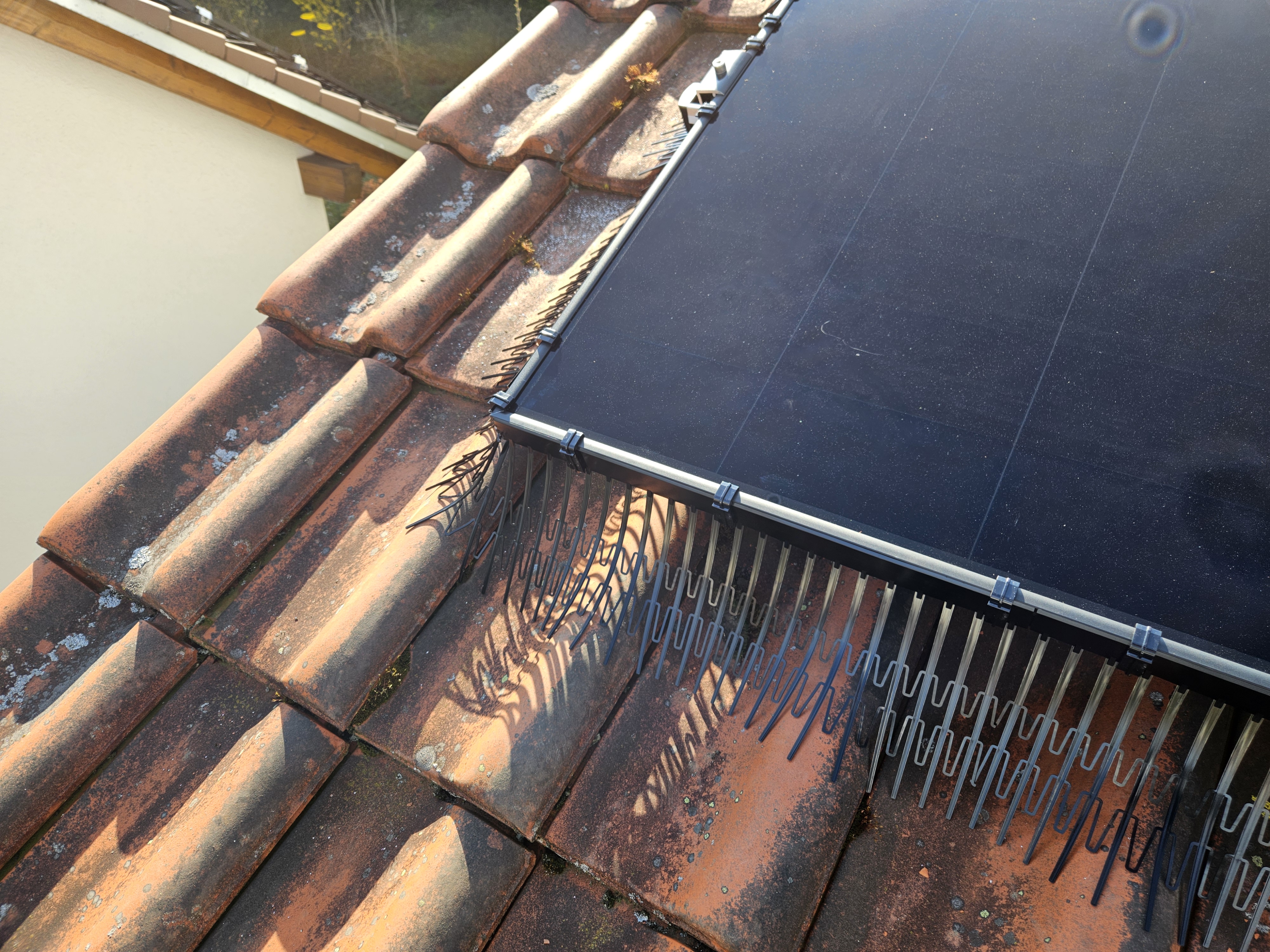 Grande plano de um sistema PV Protector instalado com C-Clips a fixar os Perimeter Segments — regulamentação proteção aves fotovoltaico UE — PV Protector®