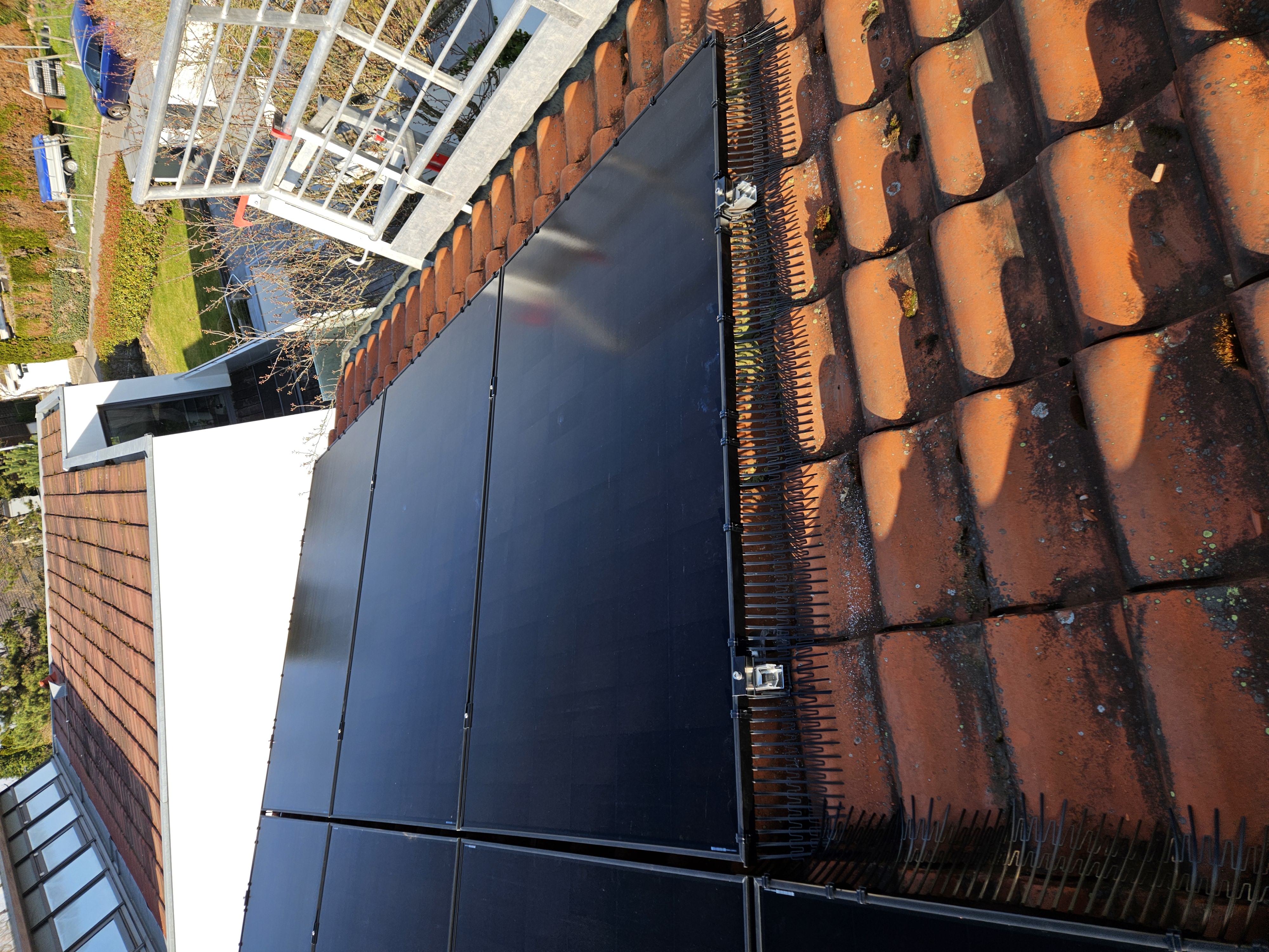 Professional bird protection system installed on solar panels