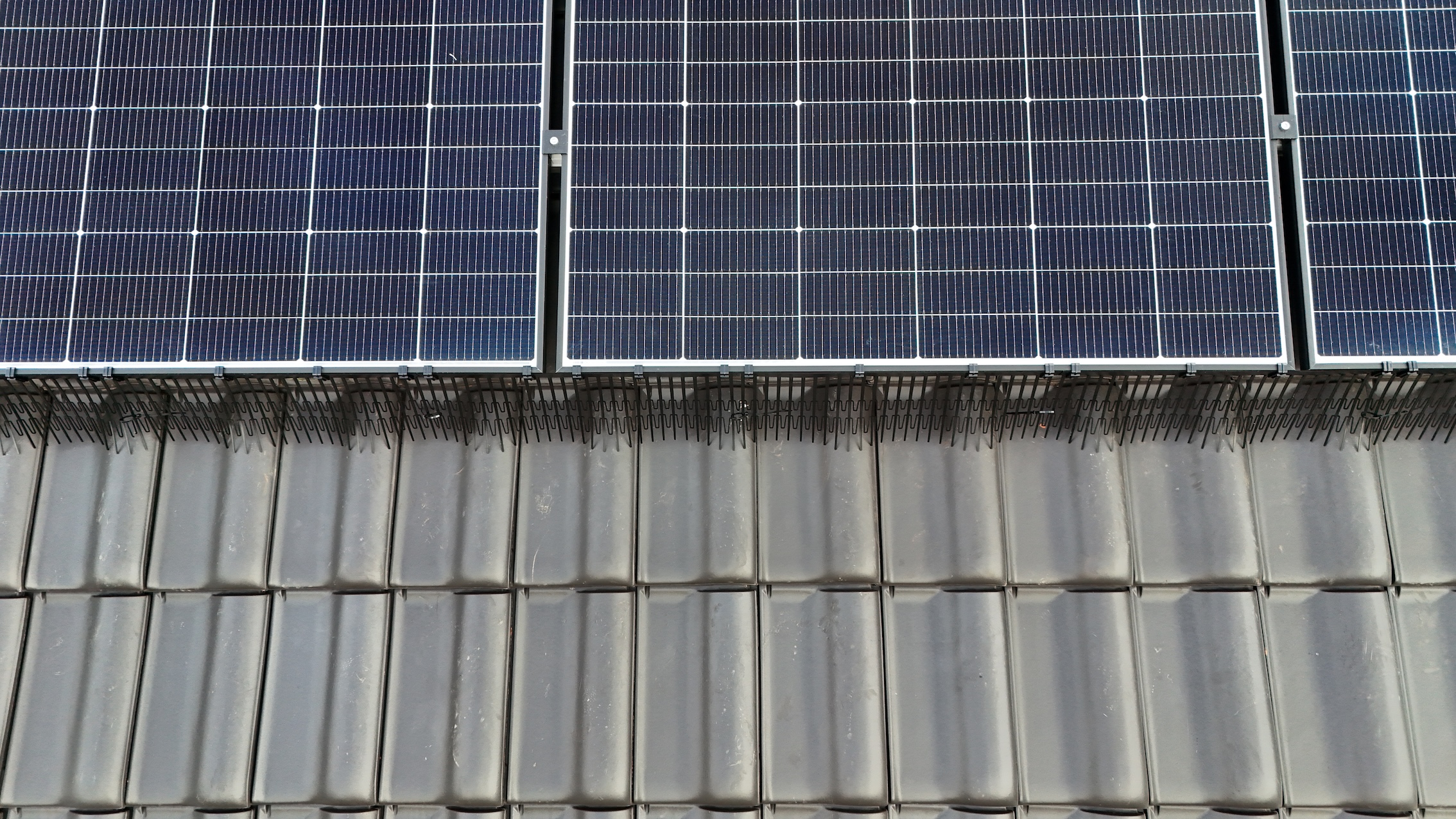 Solar panel maintenance — bird activity damage inspection