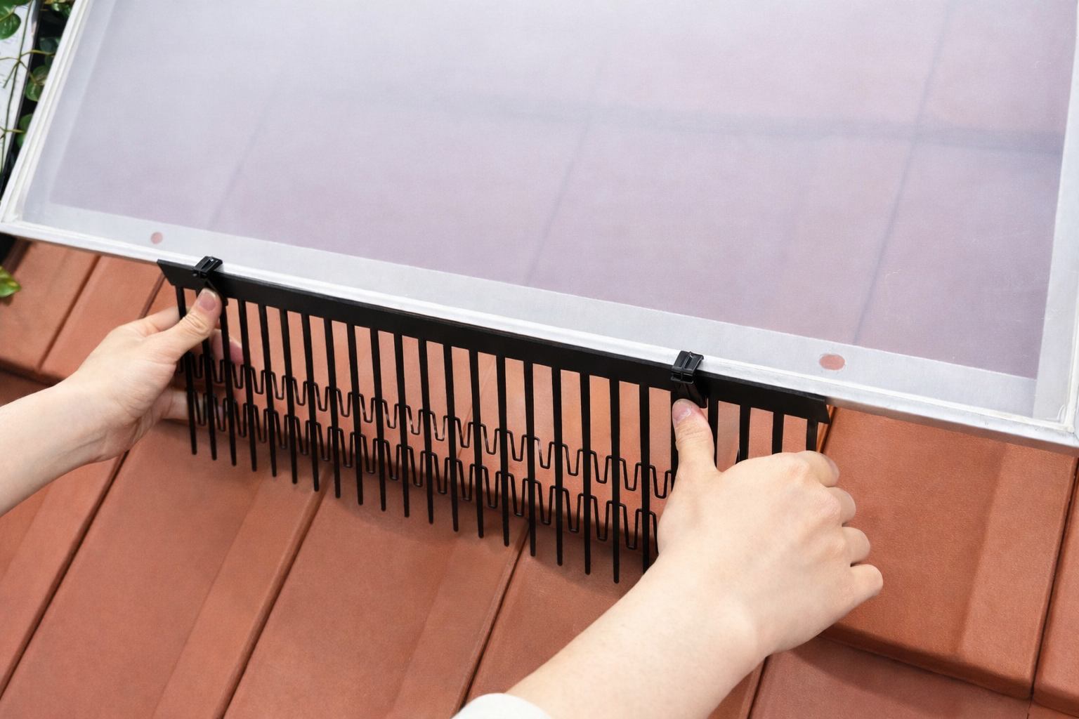 Solar panel installation requiring pigeon protection