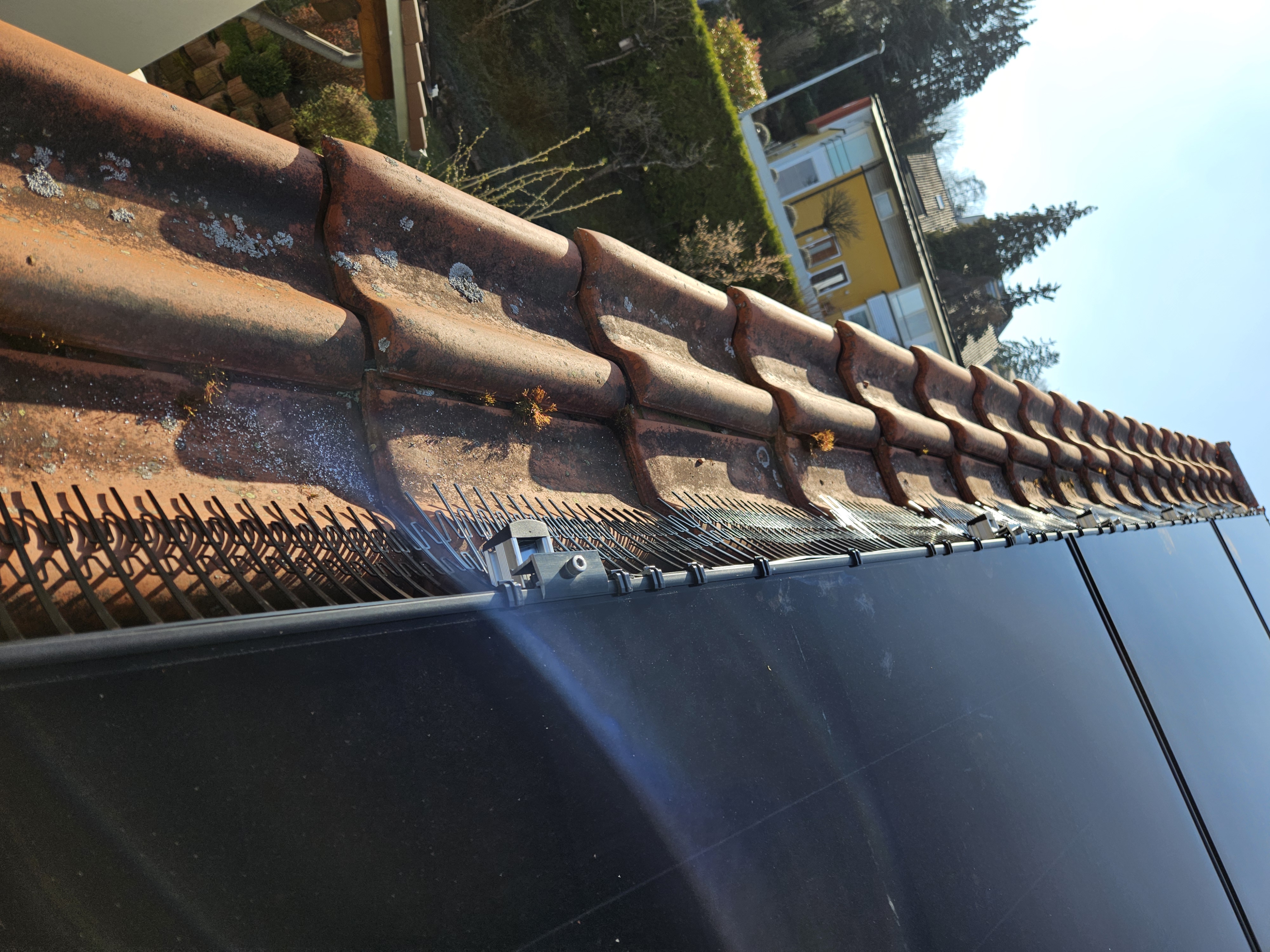 Professional bird protection system installed on solar panels