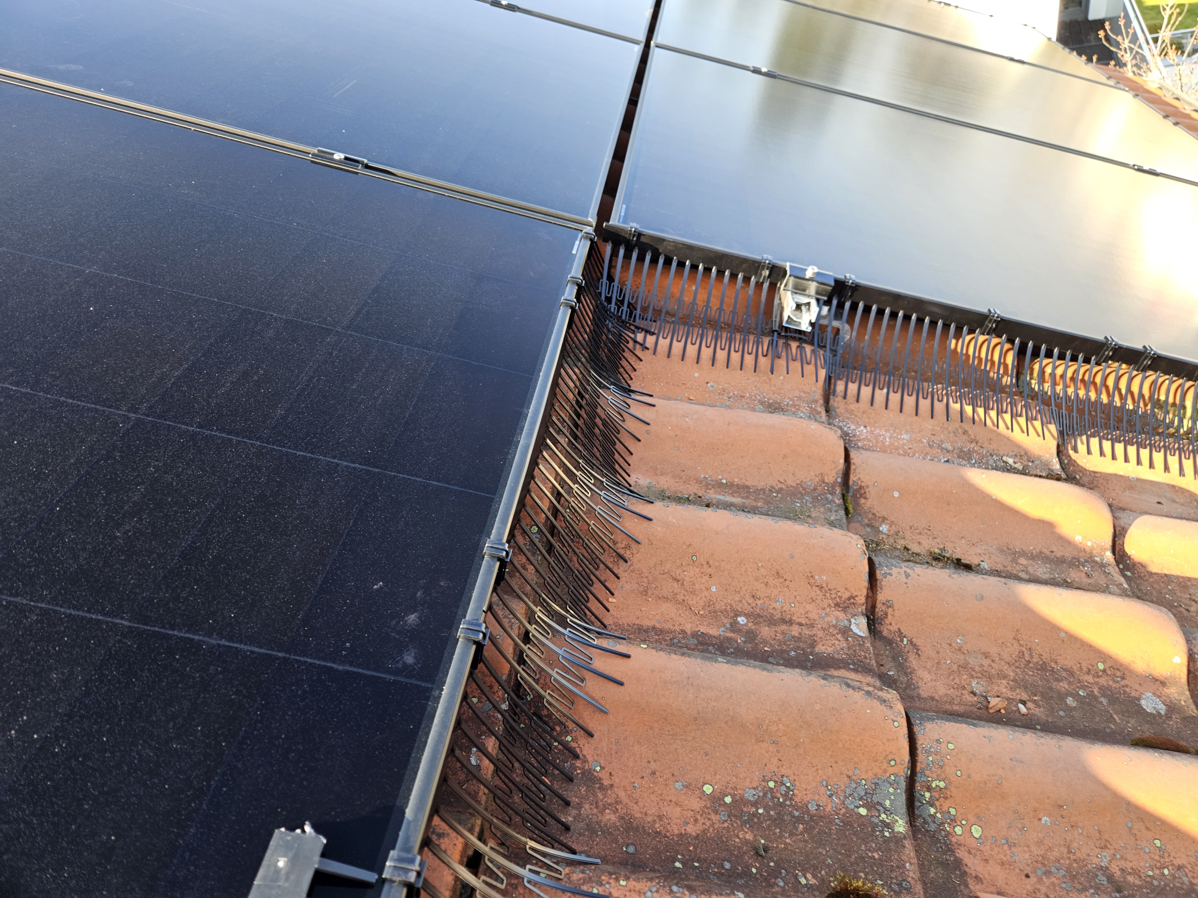Professional bird protection system installed on solar panels