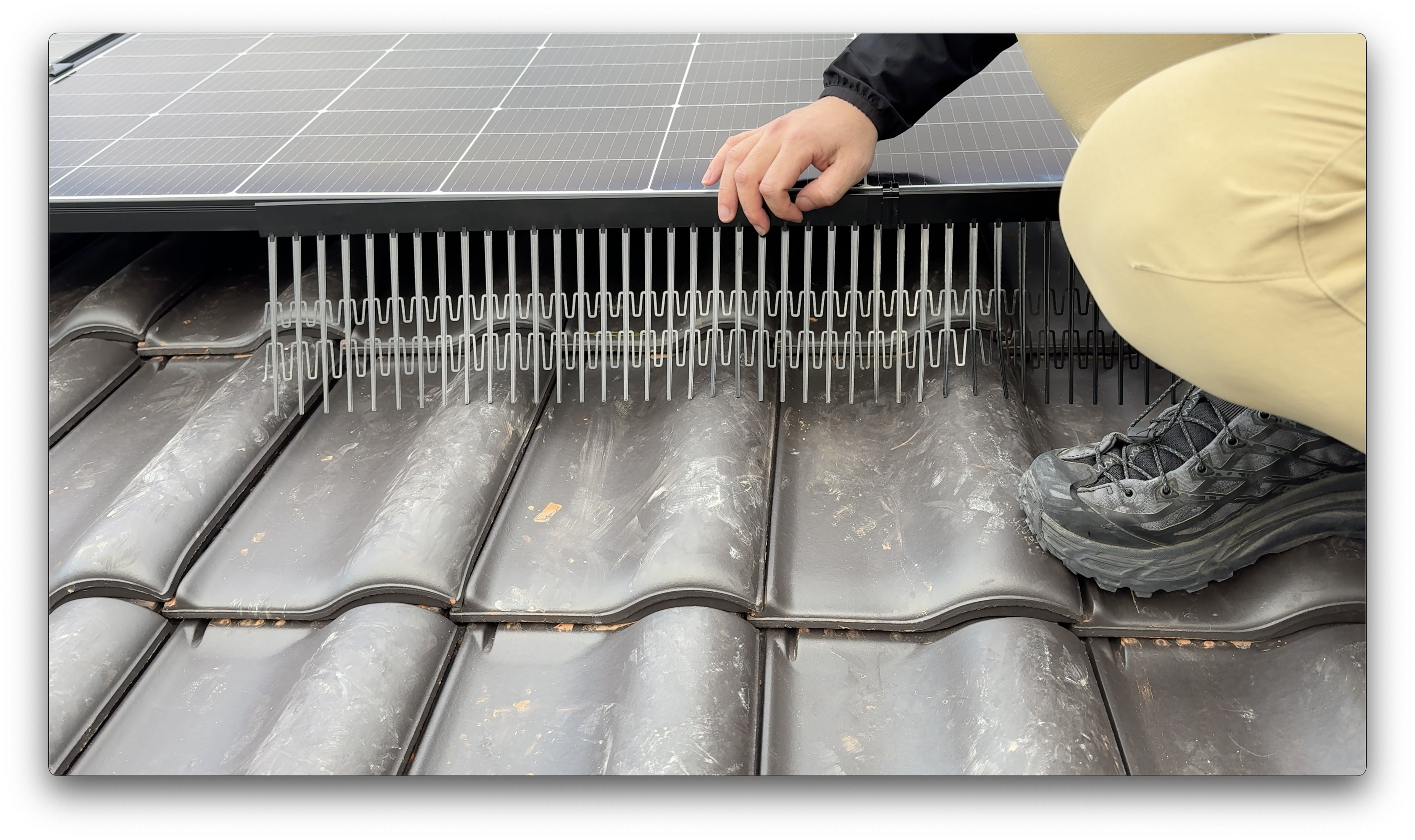 Comparison of bird deterrent clip sizes for solar panels