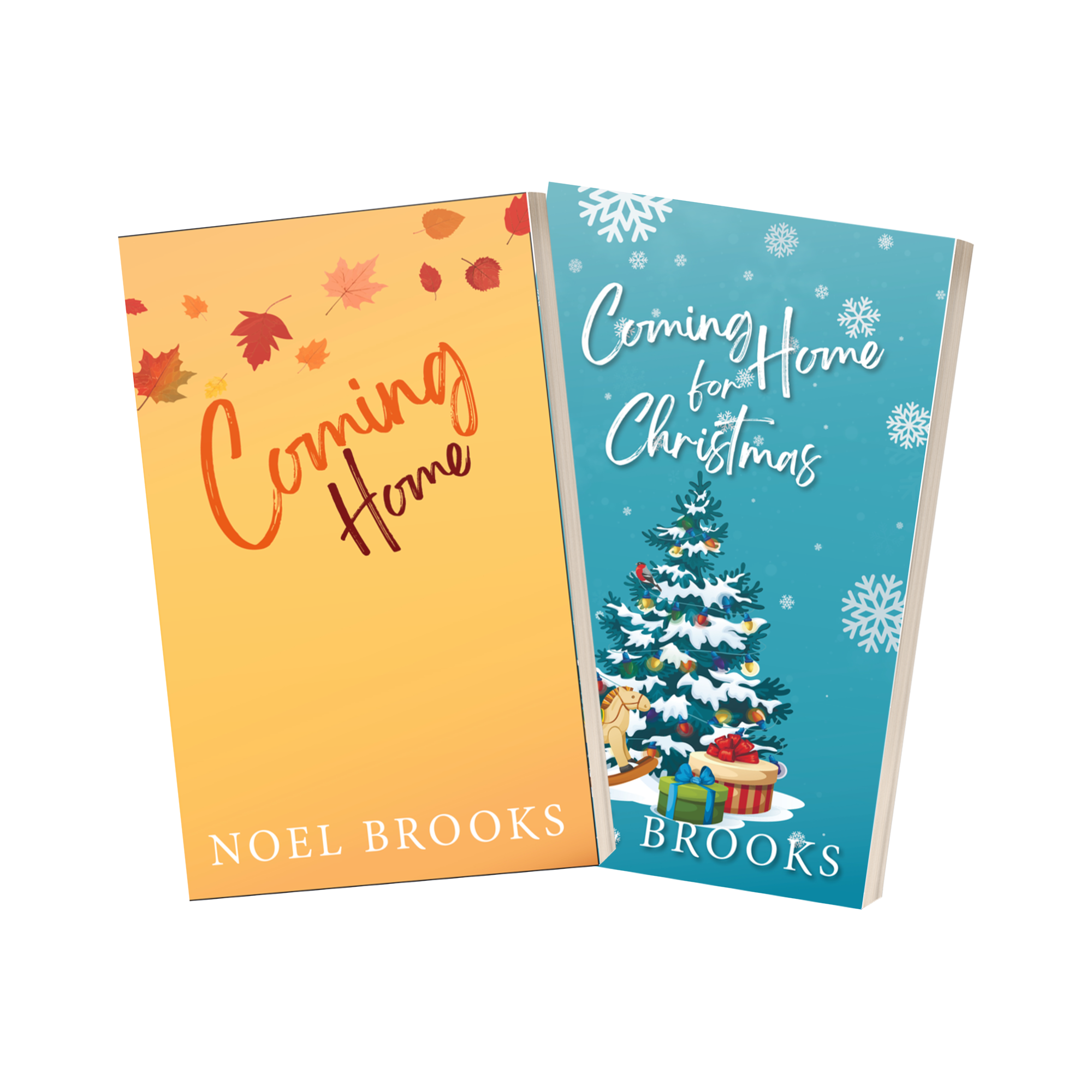 Coming Home Series Bundle - Discreet