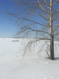Winter outside Perm