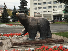 Perm Bear