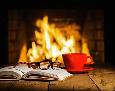 relax at the fireplace with guilt free loggi fire logs
