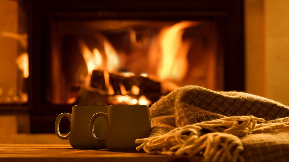 burning loggis is more efficient than burning wood