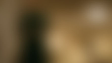 Serena-Joy: A Perfect Character (Work in Progress)