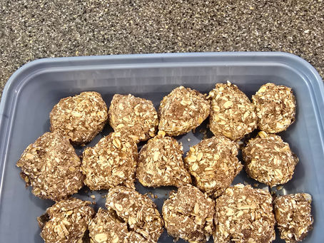 Protein Energy Date Bites: Healthy, No-Bake Snack!
