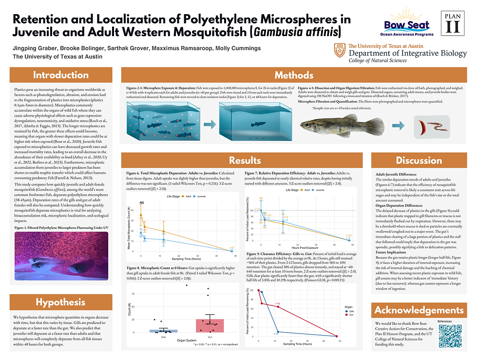 Retention and Localization of Polyethylene Microspheres in Juvenile and Adult Western Mosq