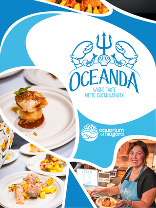 Oceanda - Social Media board member 1 1920x1080 pixels story.png