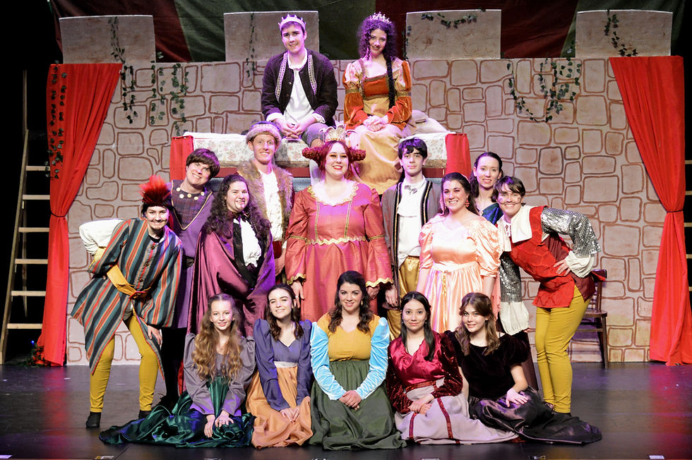 Once Upon a Mattress