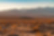 iStock-1288375780.jpg