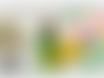 Coffee Origin Focus: Brazil – part 3 Key Producing Regions  