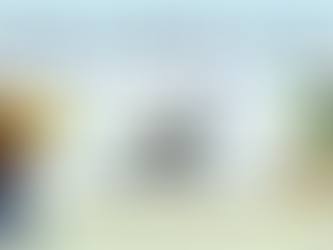 What to Expect for The Coffee Market in 2026