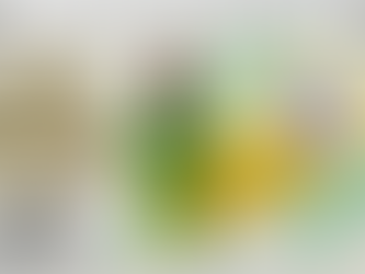 Coffee Origin Focus: Brazil – Part 2  How Brazil Shaped the Coffee Market as we Know Today 