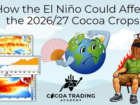 How El Nino Could Affect The 2026/27 Cocoa Crops