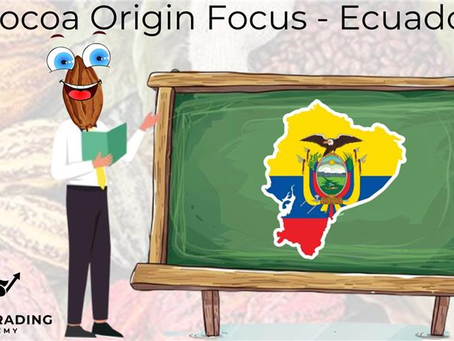 Cocoa Origin Focus - Ecuador