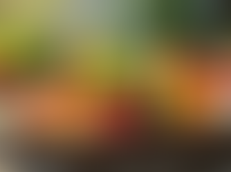 The Benefits of Nutrition Plans for Older Adults