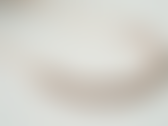 Styling the Paakhe Dual-Toned Necklace: A Guide to Dual-Toned Necklaces