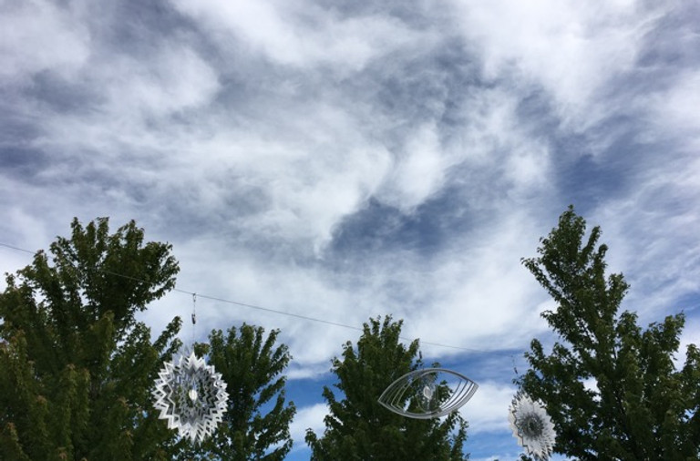 IMG_9564.jpeg