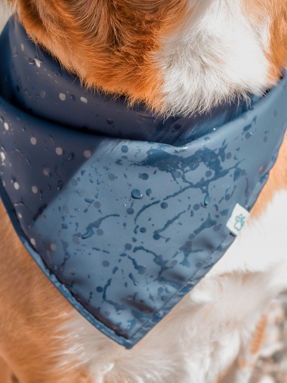 Miniaturbild: Raindrops Marine