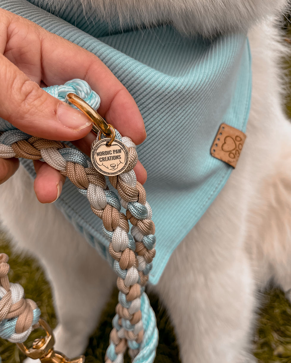 Miniaturbild: Beanie Sky x NPC Leine