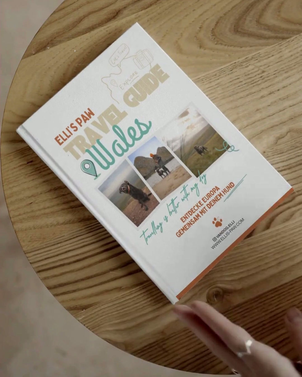 Miniaturbild: Elli's Paw Travel Guide: Wales