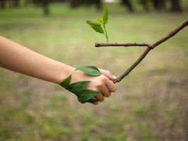 5 Ways to Improve Your Mental Health Through Connecting with Nature