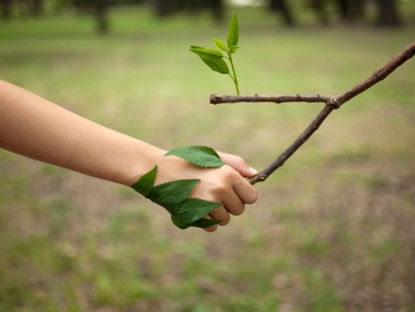 5 Ways to Improve Your Mental Health Through Connecting with Nature