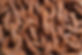 pexels-miguel-á-padriñán-114108.jpeg