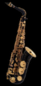 SELMER Eb Altsaxophon, SA80 II, SEA2BSET schwarz, Set