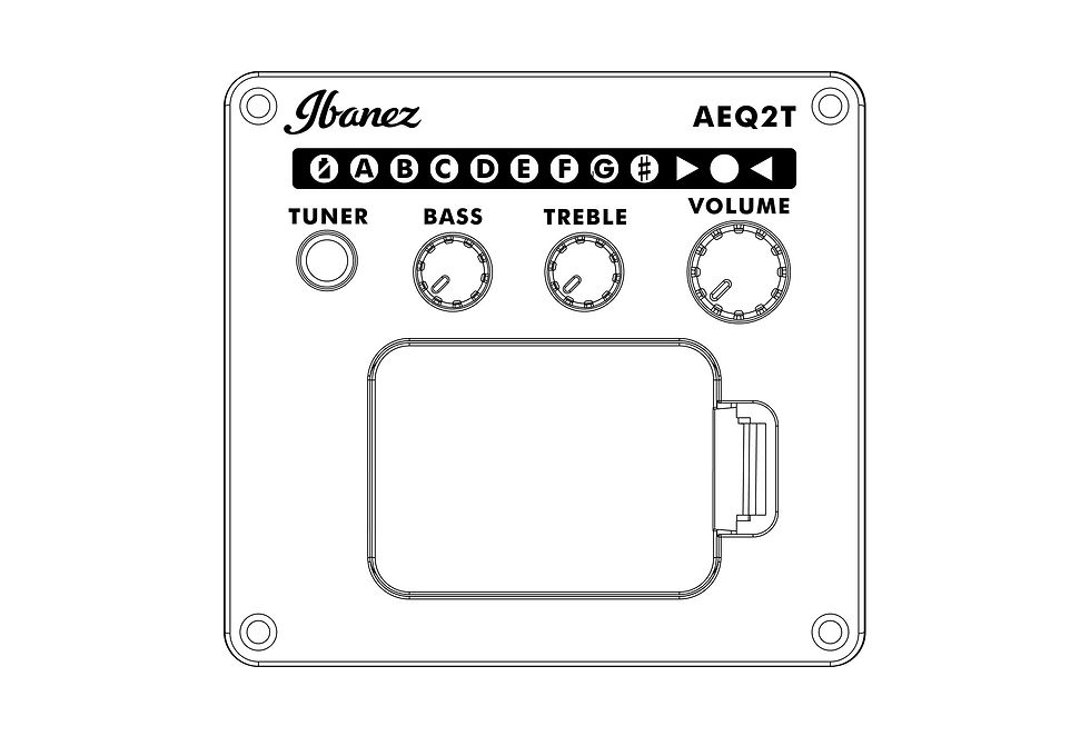 Thumbnail: Elektronikmodul mit EQ & Tuner