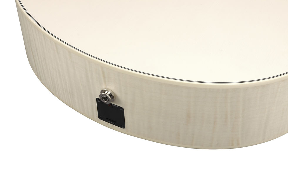 Miniatyrbild: Seitenansicht mit Ausgangsbuchse