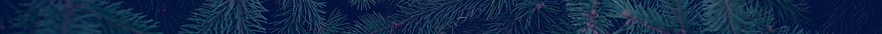 pine bground.png