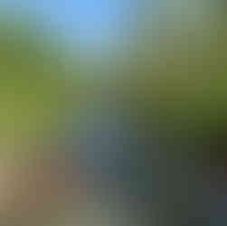 De Dijle is toegankelijk voor jong en oud