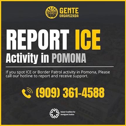 Rapid Response Hotline Number