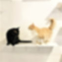 キャットウォーク・ハンモック設置