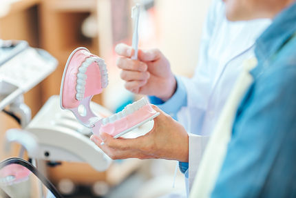 歯の模型を使ったケア