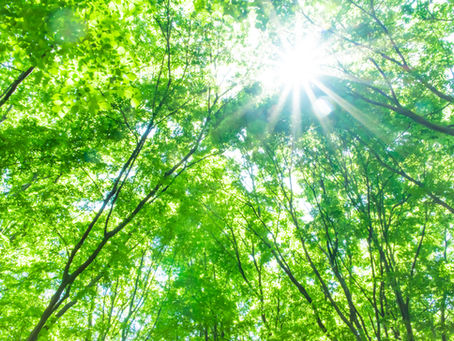 近日公開予定