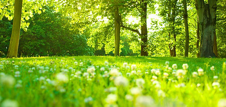 効率的で環境に優しい処理を実現