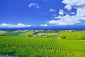 地域密着の安心施工