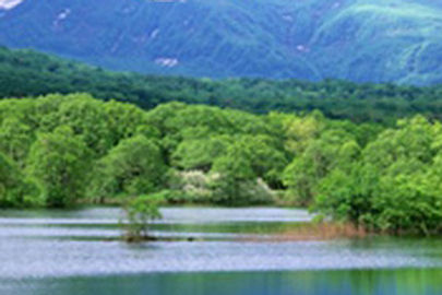 中井歯科クリニック